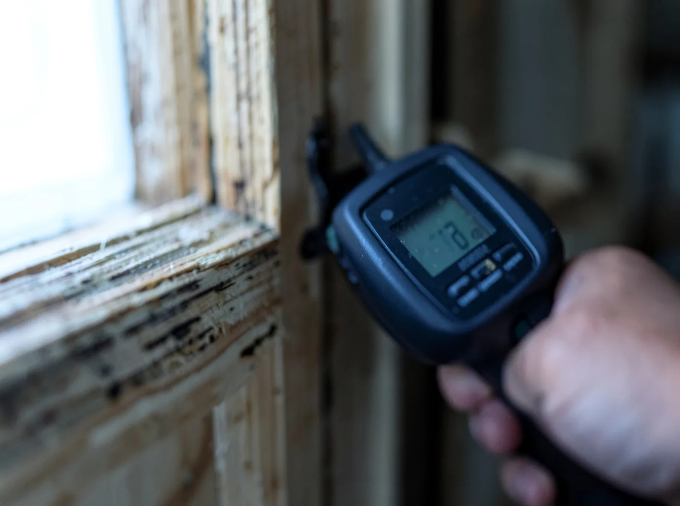 Moisture Inspection And Documentation in Ralph, MI